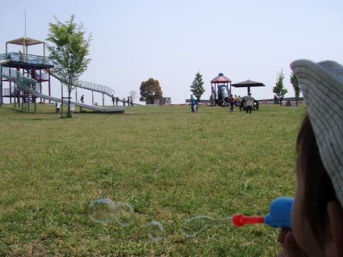 f0047773_8573132.jpg