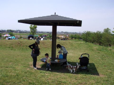 f0047773_8574878.jpg