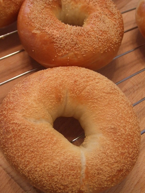 a0134376_2027347.jpg