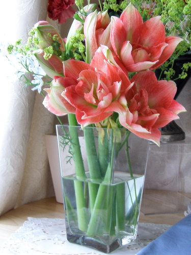 f0007380_1227295.jpg