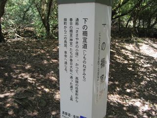 e0196481_1053121.jpg