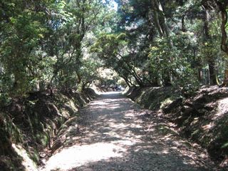 e0196481_10534617.jpg