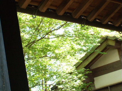f0039281_17381441.jpg