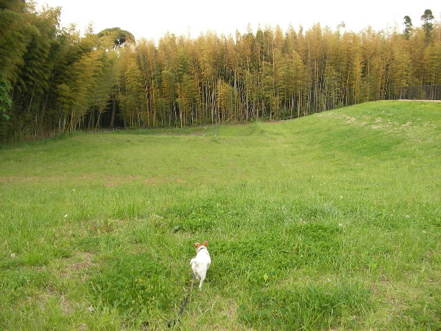 c0214384_19202421.jpg