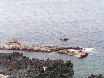 c0204385_20524476.jpg