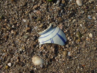 e0060485_810050.jpg
