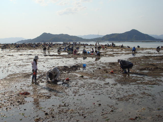 e0060485_872154.jpg