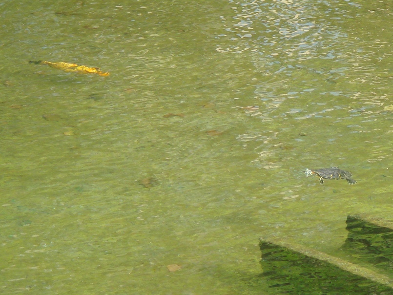c0139388_11524435.jpg