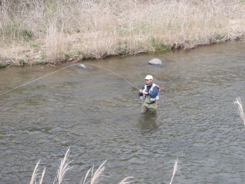 c0146788_1054052.jpg