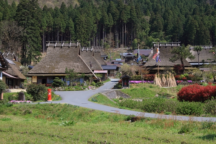 e0051888_2043199.jpg
