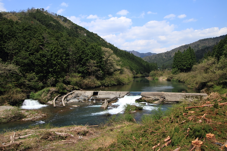 e0051888_20521949.jpg