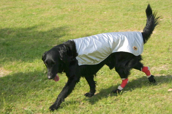 d0070289_15304251.jpg