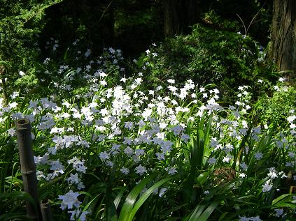 f0202990_21554822.jpg