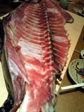 c0032392_16325720.jpg