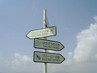 d0143192_1428534.jpg