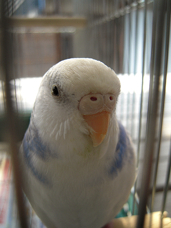 d0131293_21165113.jpg