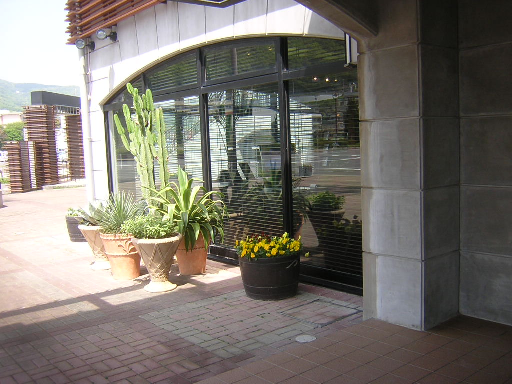 f0181793_1639728.jpg