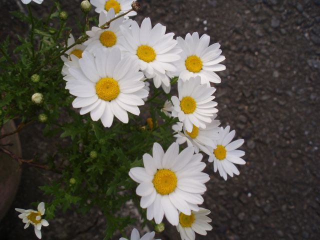 f0130894_2174121.jpg