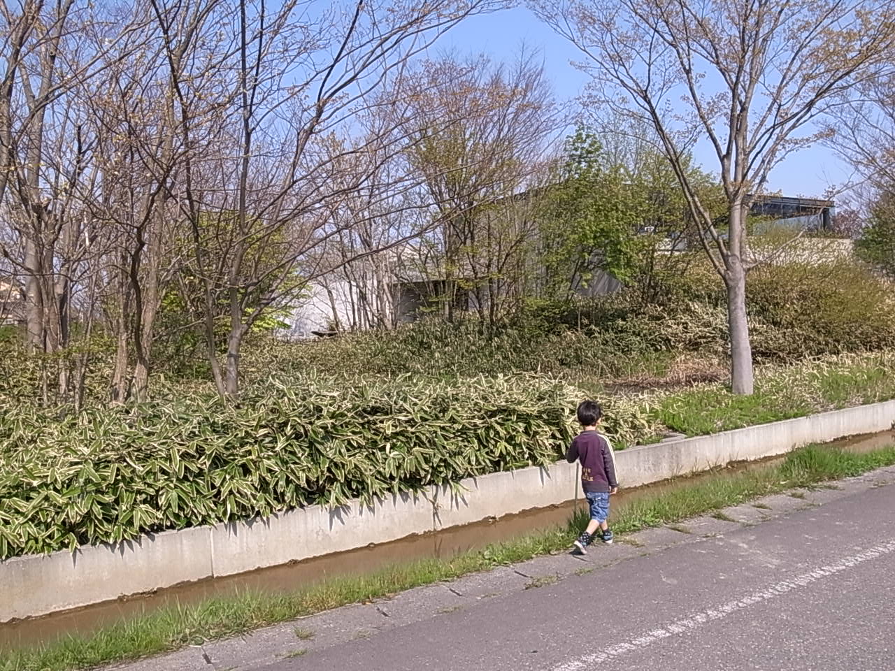 c0209896_23485377.jpg