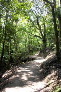 f0103797_16385950.jpg