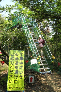 f0103797_16391442.jpg