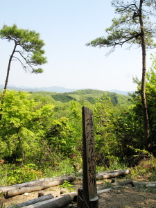 f0103797_16482968.jpg
