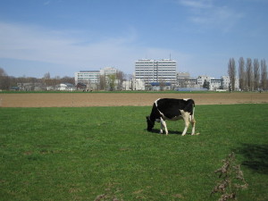 b0017998_21425157.jpg