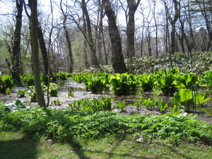 b0017998_23473141.jpg