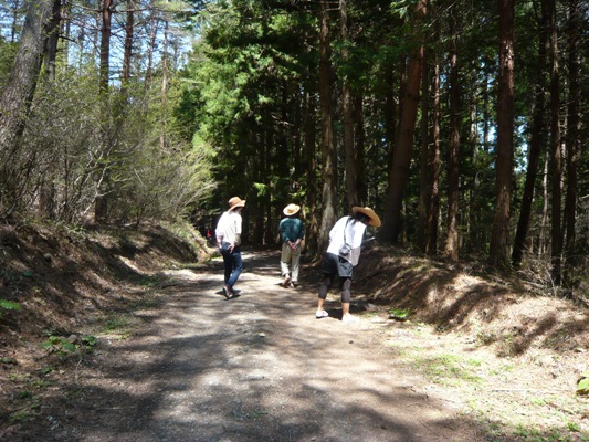 c0187898_11423722.jpg