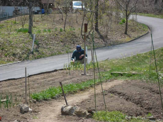 c0187898_11484456.jpg