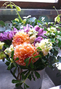 c0203899_1427148.jpg