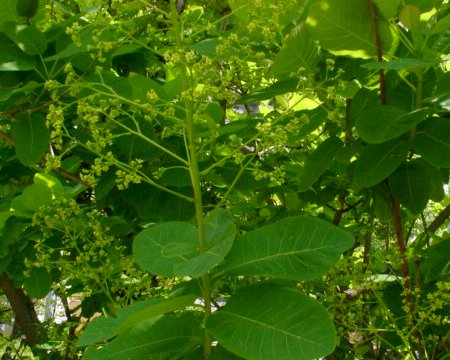 a0031000_1646886.jpg