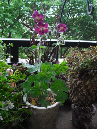 c0227800_18363961.jpg