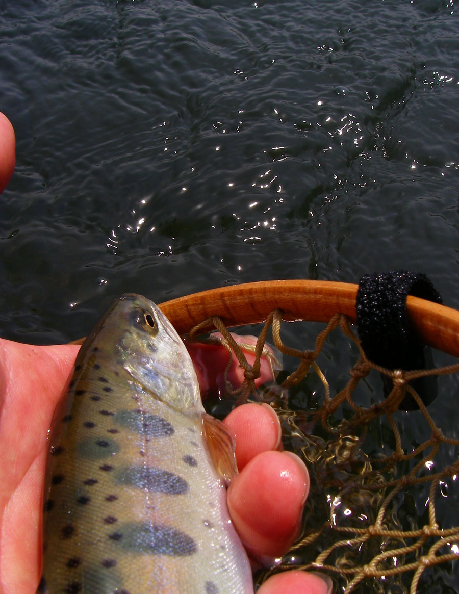 c0095801_22101894.jpg