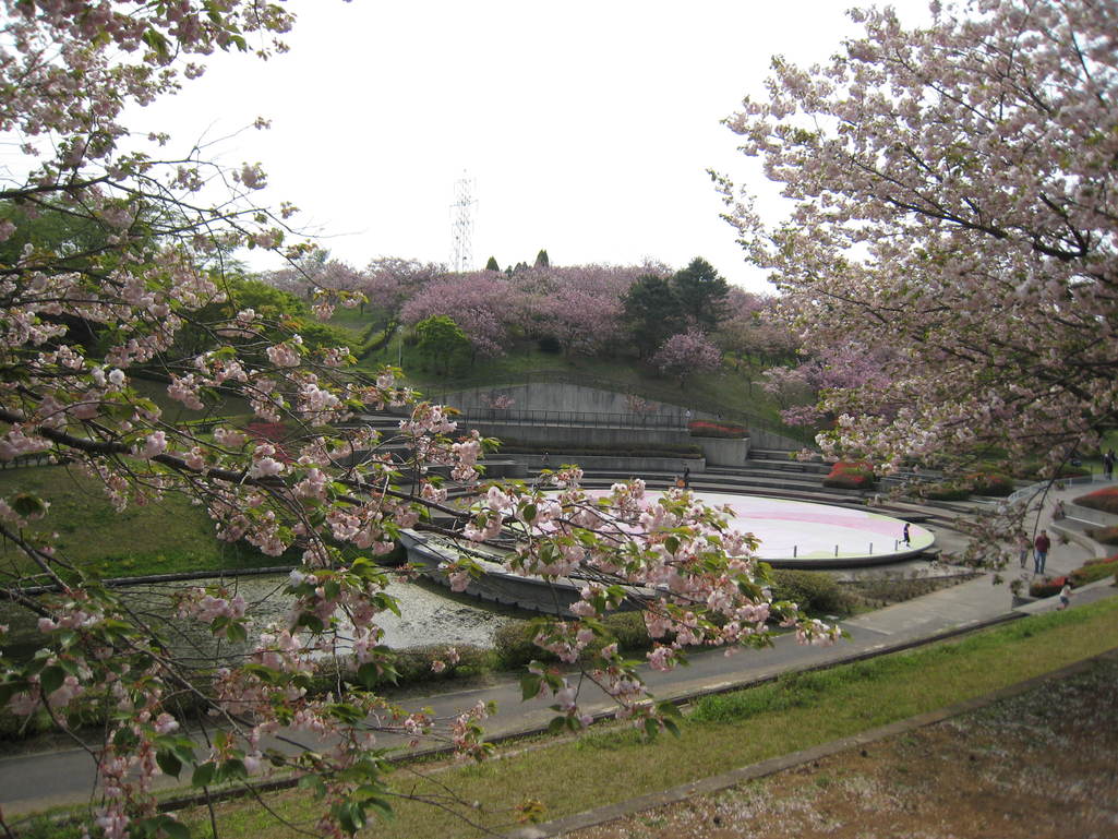 e0033301_21325979.jpg