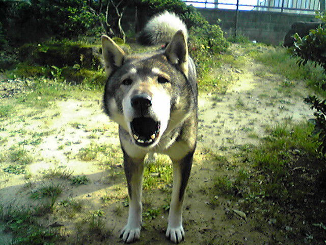 f0079202_16524328.jpg