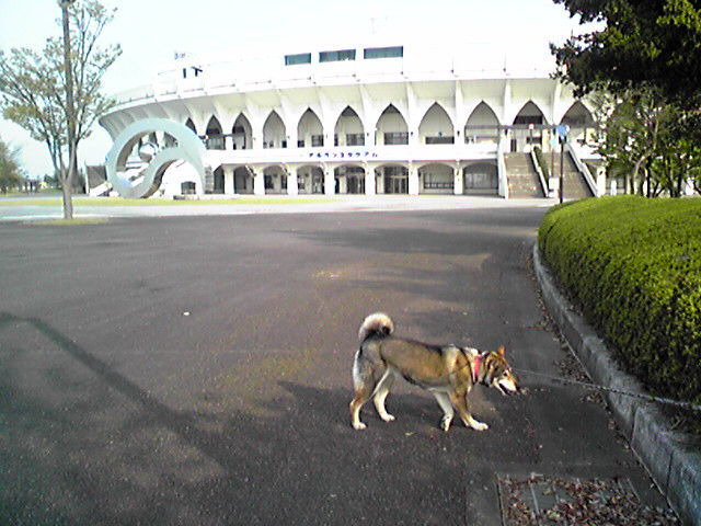 f0079202_16524393.jpg