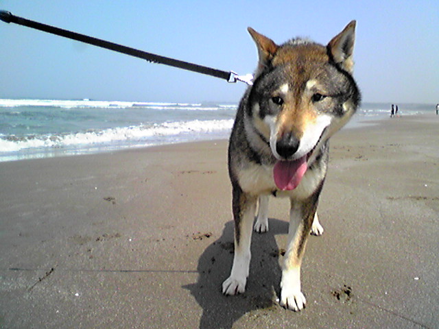 f0079202_21215023.jpg