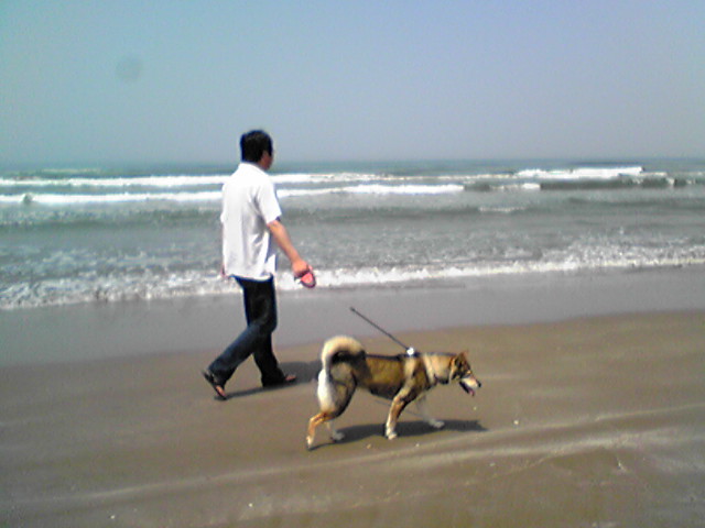 f0079202_21215098.jpg