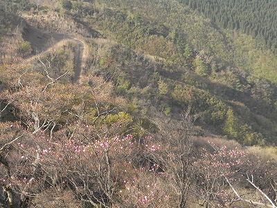 f0187402_23323637.jpg