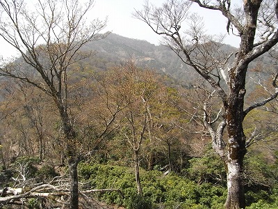 f0187402_23331271.jpg