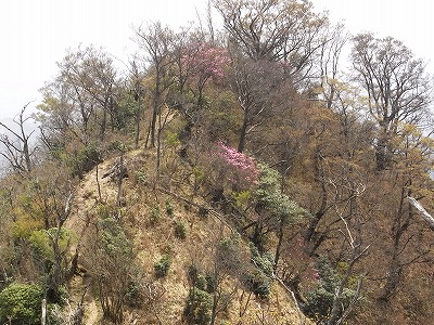 f0187402_2333359.jpg
