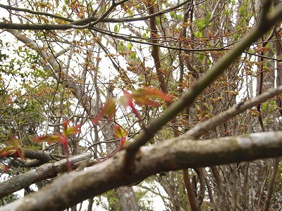 f0187402_23334392.jpg