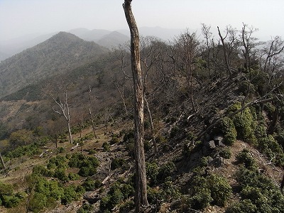 f0187402_2333545.jpg