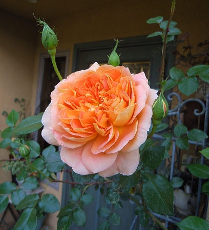 f0065604_23472992.jpg