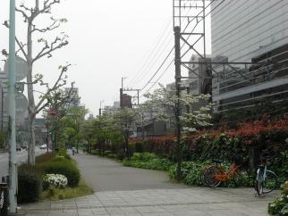 b0042607_11353781.jpg