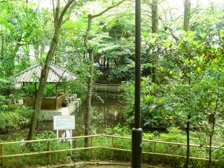 b0042607_1141870.jpg