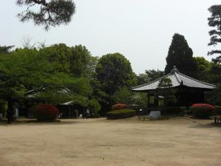 b0042607_183231100.jpg