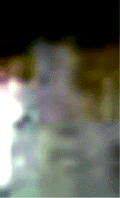 e0103408_13405354.gif