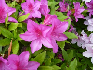 f0221708_040799.jpg